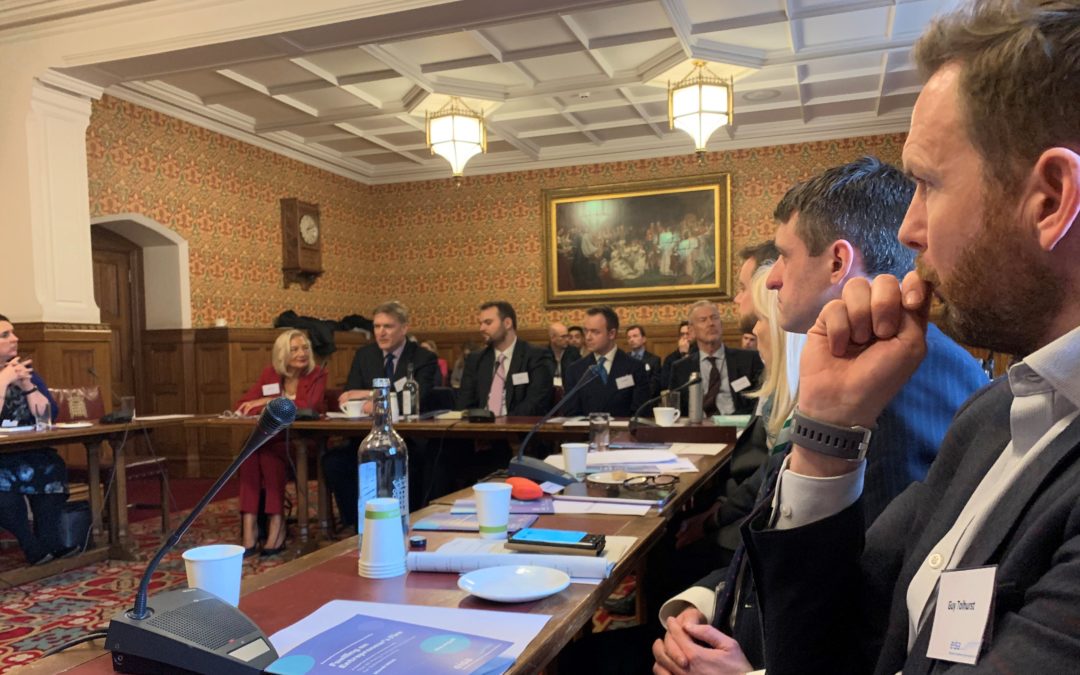 Discussing the value of EIS and SEIS (Enterprise Investment Schemes) in Parliament