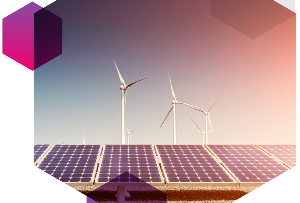 Contribute to research on the path to Net Zero
