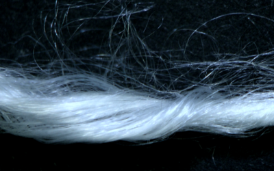 Spintex – learning from spiders, producing environmentally friendly silk