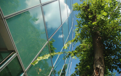Low carbon and environment business directory