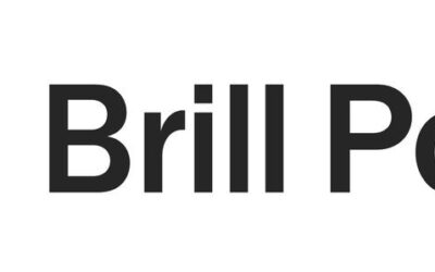 Brill Power- Meet the BESA BP6X1