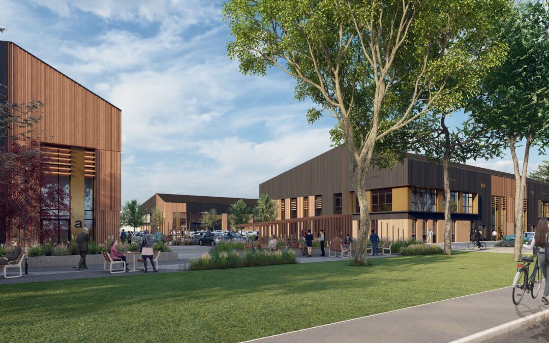 Nebula’s sustainable timber beams rise out of the ground