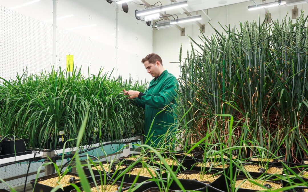 Wild Bioscience Scales Climate-Resilient Crops at Milton Park Following £45m Investment