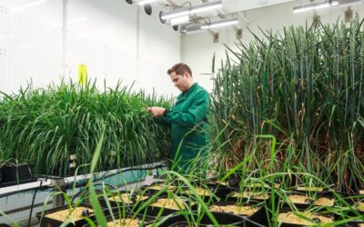 Wild Bioscience Scales Climate-Resilient Crops at Milton Park Following £45m Investment